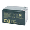 EVX12120F2 High Rate AGM Battery 12V 12Ah TCED
