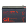 UPS12580F2 AGM Battery 12V 10Ah TCED
