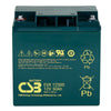 EVX12300 AGM Battery 12V 30Ah TCED