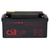 GP12650FR-M6 AGM Battery 12V 65Ah Flame Retardant TCED