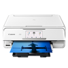 Canon PIXMA TS8120 WHITE Canon