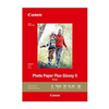 PP-301 13" x 19" Photo Paper Plus Glossy (20 sheets/pkg) Canon