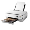 PIXMA TS5320?White Canon