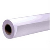Epson Singleweight Matte Paper 17" x 131.7' RollS041 Epson