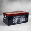 Dakota Lithium 36V 110AH Deep Cycle LiFePO4 Single Battery Dakota Lithium