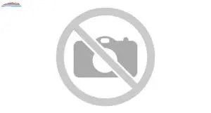 IBM OEM IBM 2880W OEM Power Module IBM